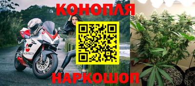 ПСИЛОЦИБИНОВЫЕ ГРИБЫ Новозыбков