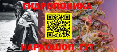 ПСИЛОЦИБИНОВЫЕ ГРИБЫ Новозыбков