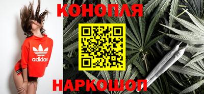 гидра Новодвинск