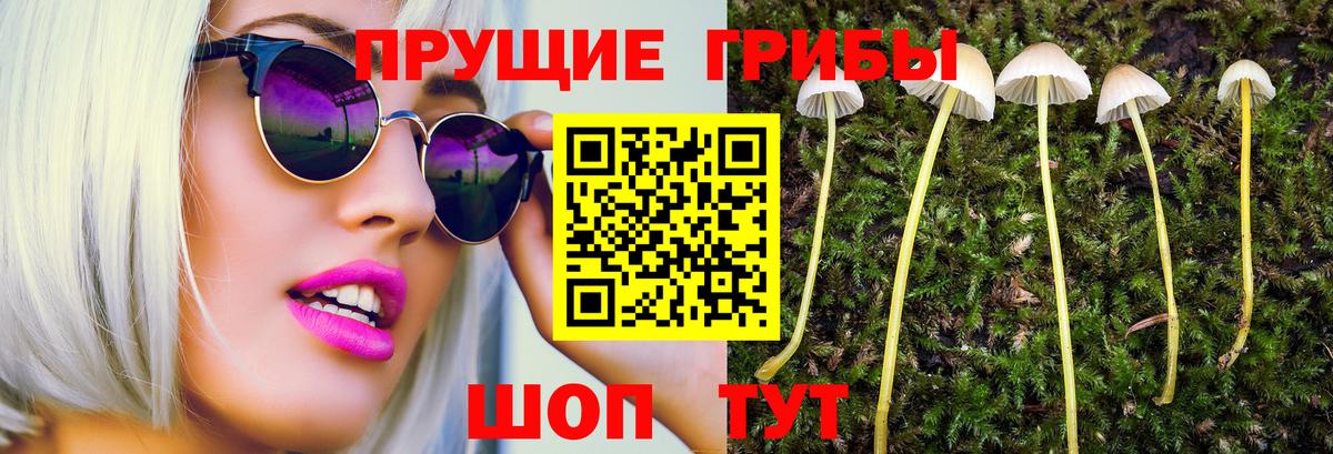 Псилоцибиновые грибы Psilocybine cubensis  Вход с VPN  Новоалександровск 
