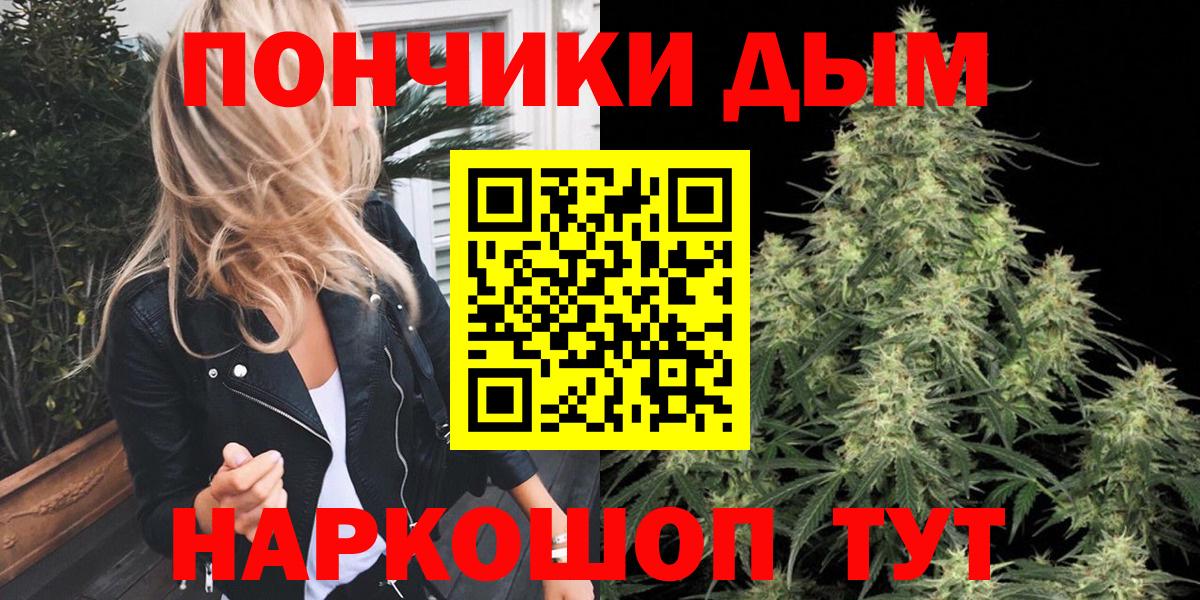 Каннабис планчик  Марихуана сатива  Новоалександровск  МАРИХУАНА LSD WEED  Вход с VPN 